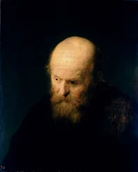 Head of a Bald, Old Man